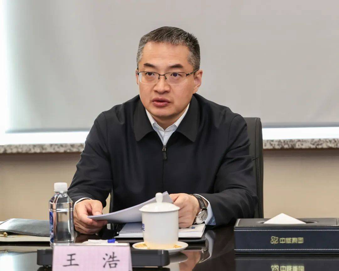 市长王浩，拟进一步使用