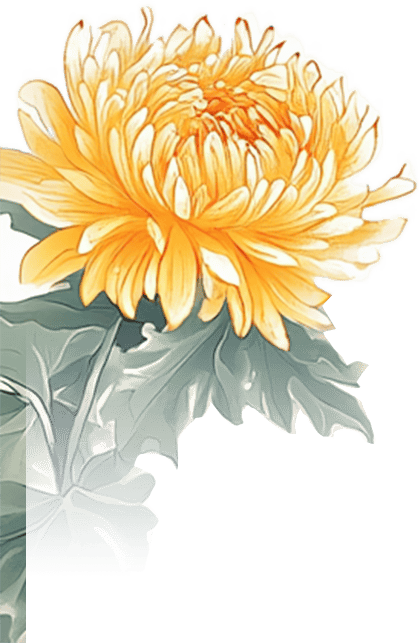 【重阳节特辑】重阳吟‖杨大珑