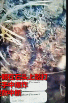 解放军报警！有人拾取3吨多炮弹残片卖钱，甚至有完整弹头？