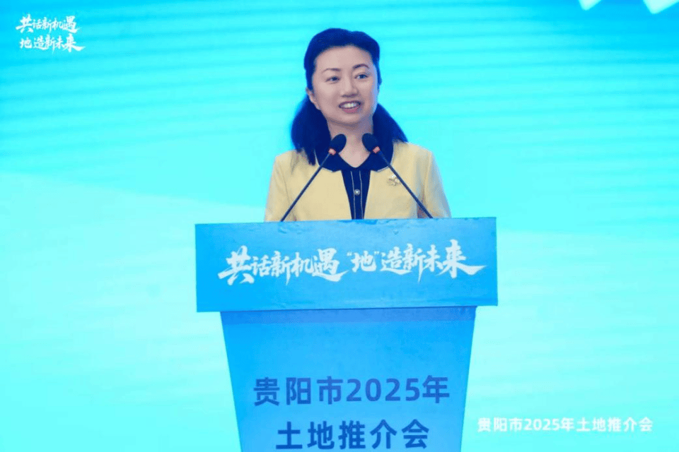 贵州省贵阳市副市长高杨，主动投案！