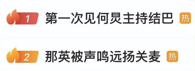 那英质疑票数作假 何炅差点没救回场