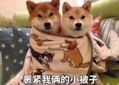 降温超12℃！宿州将一夜入冬