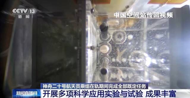 在轨驻留203天 神二十乘组完成了哪些任务？